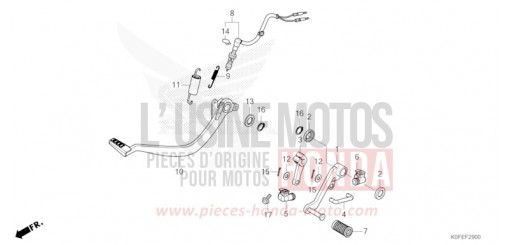 PEDALE Z125MAS de 2025